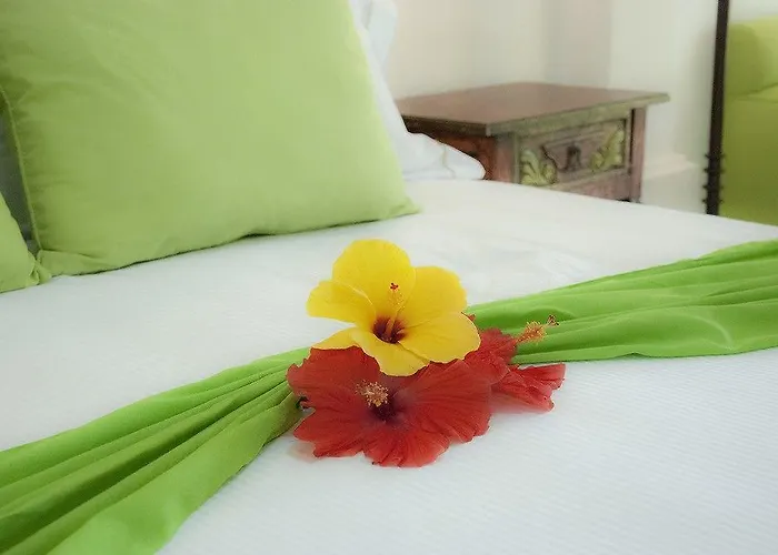 El Encanto Boutique Hotel San José del Cabo