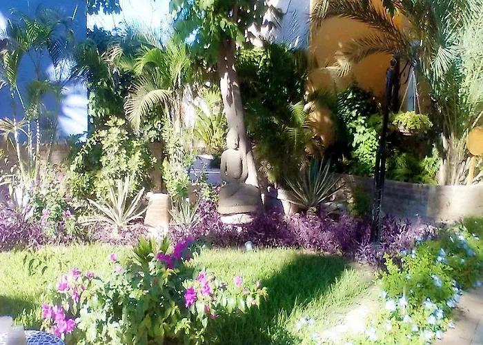 El Encanto & San Jose del Cabo